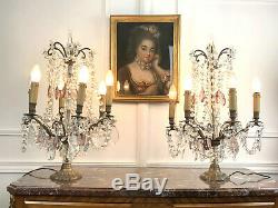 Pair Girandolles (big Model) Louis XV Style A 6 Arm Of Lights